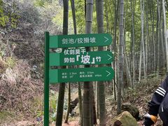 -莫干山风景区