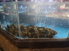 -徐记海鲜(大明宫|北二环店)