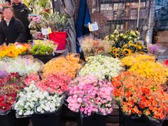 -循礼门鲜花花市(武汉循礼门店)