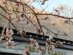 -龙湖星悦荟(颐和店)