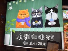 -有猫主题·治愈系猫咖(曾厝垵店)