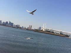 -台场海滨公园船码头