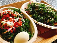 -油梨树AVOCADO TREE(顺义新国展店)