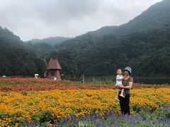 -广州市石门国家森林公园