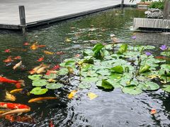 -广州白天鹅宾馆