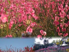 -桃花涧