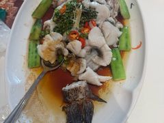 -侨美·唐荔园·40年地道粤菜