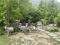 -幽岚山·童话森林