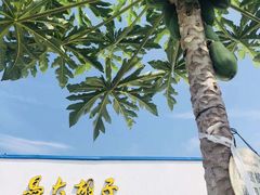 -马大胡子清真西北菜