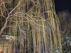 -涵家味土菜馆·徽州一绝臭鳜鱼(三河古镇店)