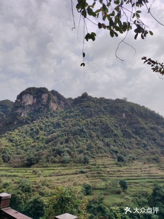 古龙山大峡谷图片