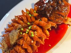 -RIVIERA 松鹤楼(外滩店)