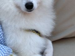 -怪兽屋·羊驼·猫咖·狗咖(俊华广场店)