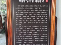 -绮园景区