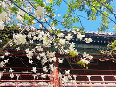 -潭柘寺景区