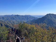 -大岭沟猕猴桃谷风景区