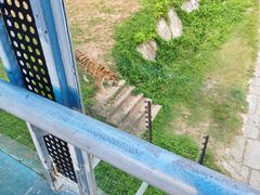 -深圳野生动物园