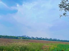 -天津东丽湖风景区