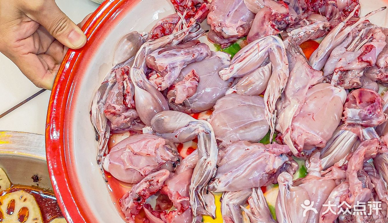 我的天…🆘大连东财这家美蛙鱼头太顶了！