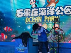 -石家庄海洋公园