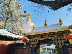 -护国法轮寺