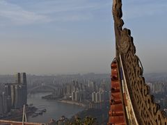 -南山植物园