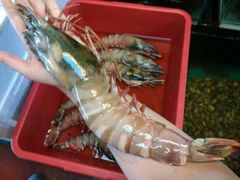 -ZF Seafood Restaurant 卓峰海鲜餐