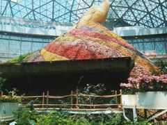 -花之城