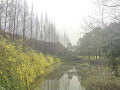 -成都南湖公园