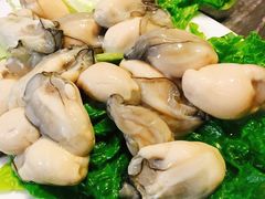 生蚝-金砂阿洲鱼册店