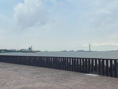 -上海滨江森林公园