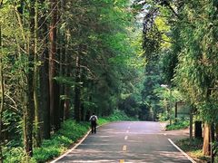 -杭州西湖风景名胜区-满觉陇四眼井