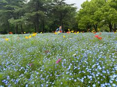 -上海滨江森林公园