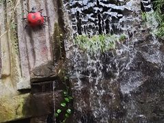 -青青世界