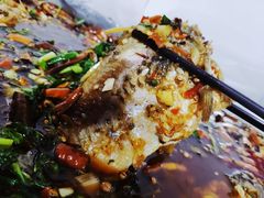 家常鲫鱼-红火餐馆(向阳街店)