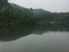 -白马涧龙池景区