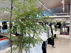 -ZARA(成都远洋太古里店)