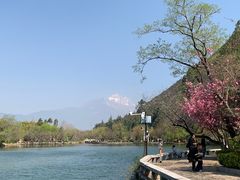 -黑龙潭公园