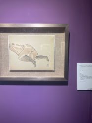 点击看大图 -静安洲际酒店·宴会厅