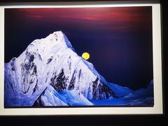 -罗红摄影艺术馆