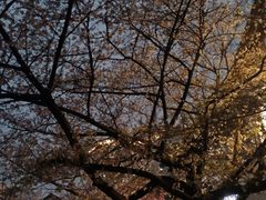 -大川先生·小龙虾·川菜(信义坊店)