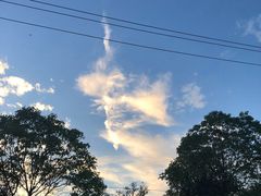 -七天萌宝·玛利娅蒙特梭利国际儿童之家(夏驾汇校区)