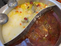 -草墩罗非鱼庄•野生菌•腊排骨(七星街上段店)