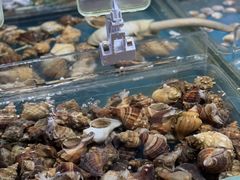 -盒马鲜生(曜一城店)