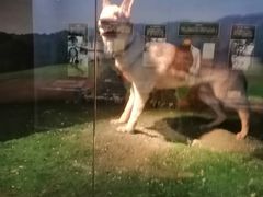 -上海公安博物馆
