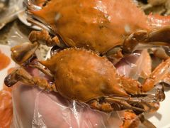 -禾斗海鲜自助(市南银座店)