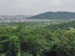 -苏州上方山国家森林公园