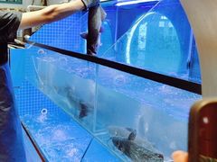 -鱼酷活鱼烤鱼(恒隆广场店)