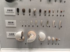 -四川大学博物馆