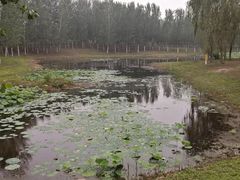 -东郊湿地公园